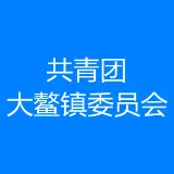 共青团江门市新会区大鳌镇委员会