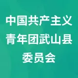 中国共产主义青年团武山县委员会
