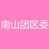 共青团深圳市南山区委员会