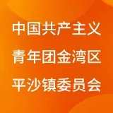 中国共产主义青年团珠海市金湾区平沙镇委员会