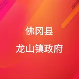 佛冈县龙山镇政府