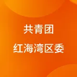 中国共产主义青年团广东汕尾红海湾经济开发区委员会
