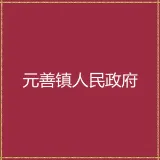 连平县元善镇人民政府