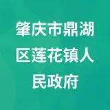 肇庆市鼎湖区莲花镇人民政府