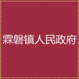 揭阳市揭东区霖磐镇人民政府