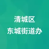清城区东城街道办