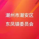 共青团潮州市潮安区东凤镇委员会