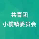 共青团小榄镇委员会