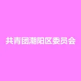 共青团潮阳区委员会