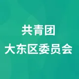 共青团大东区委员会