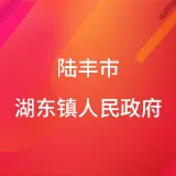 陆丰市湖东镇人民政府
