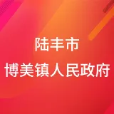 陆丰市博美镇人民政府