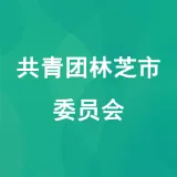 共青团林芝市委员会