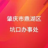 肇庆市鼎湖区坑口街道办事处