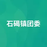 石碣镇团委