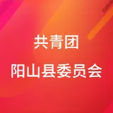 共青团阳山县委员会