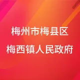 梅州市梅县区梅西镇人民政府