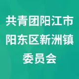 共青团阳江市阳东区新洲镇委员会