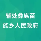 辅处彝族苗族乡人民政府