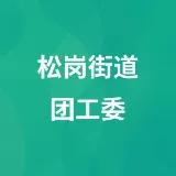 共青团深圳市宝安区松岗街道工作委员会