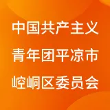 中国共产主义青年团平凉市崆峒区委员会
