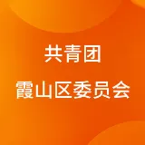 共青团霞山区委员会
