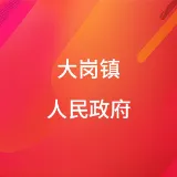 大岗镇人民政府