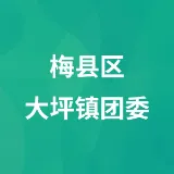 梅县区大坪镇团委