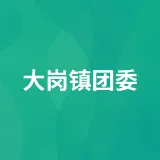 大岗镇团委