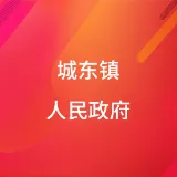 城东镇人民政府