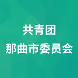 共青团那曲市委员会