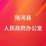 陆河县人民政府办公室