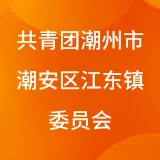 中共共产主义青年团潮州市潮安区江东镇委员会