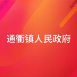 通衢镇人民政府