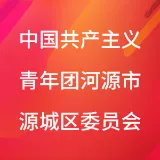 中国共产主义青年团河源市源城区委员会