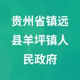 贵州省镇远县羊坪镇人民政府