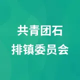共青团石排镇委员会