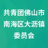 中国共产主义青年团佛山市南海区大沥镇委员会