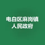 电白区麻岗镇人民政府