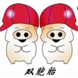 双胞胎（集团）股份有限公司