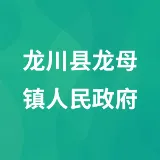 龙川县龙母镇人民政府