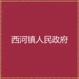 大埔县西河镇人民政府