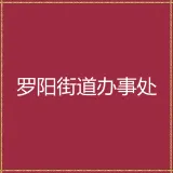 博罗县人民政府罗阳街道办事处