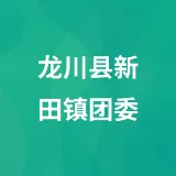 新田镇团委
