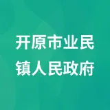 开原市业民镇人民政府