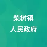 贵州省毕节市七星关区梨树镇人民政府