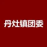 中国共产主义青年团佛山市南海区丹灶镇委员会