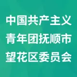 中国共产主义青年团抚顺市望花区委员会