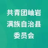 共青团岫岩满族自治县委员会