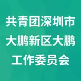 共青团深圳市大鹏新区大鹏工作委员会
